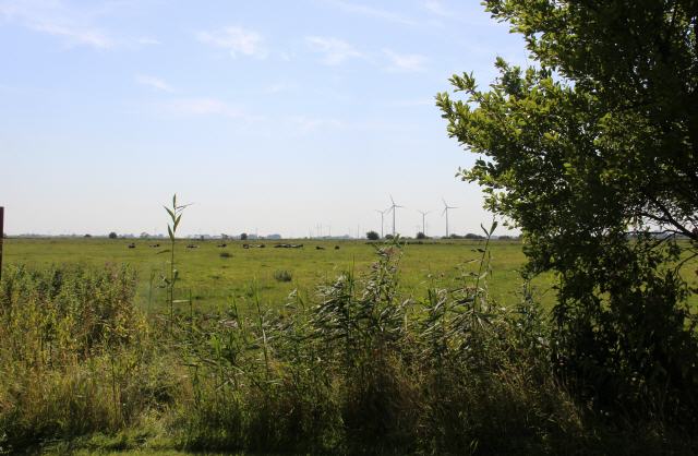 Ostfreisische Landschaft - Blick aus dem Garten